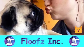 Funny Pets Hate Kisses! by Floofz Inc. 171 views 2 years ago 8 minutes, 52 seconds