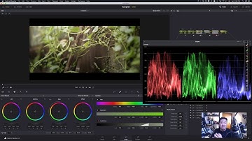 Colorgrading 101 - Hướng dẫn Colorgrading Căn Bản dễ hiểu