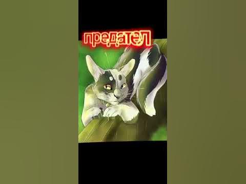 коты воители мафия - YouTube