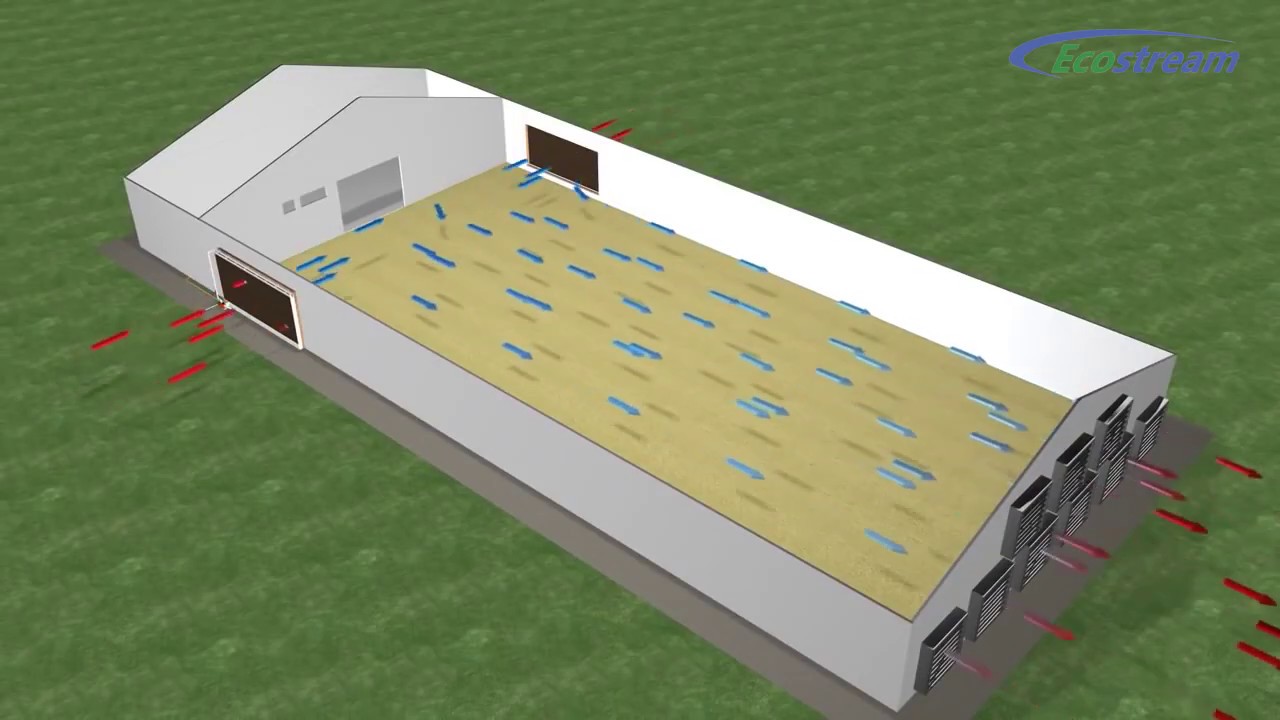 Вентиляция и охлаждение птичника. - YouTube