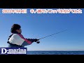2022年1月4日 中ノ瀬の魚をチェック