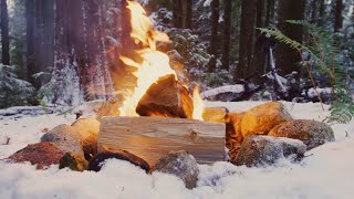 Snowy Virtual Campfire [4K] | Steamy Logs screenshot 5