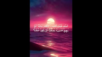 القارئ إسلام صبحي سورة الحديد ❤️ #قرآن #اجر_لي_ولك #اكسبلور #راحة_نفسية #ارح_قلبك #صلوا_على_النبي
