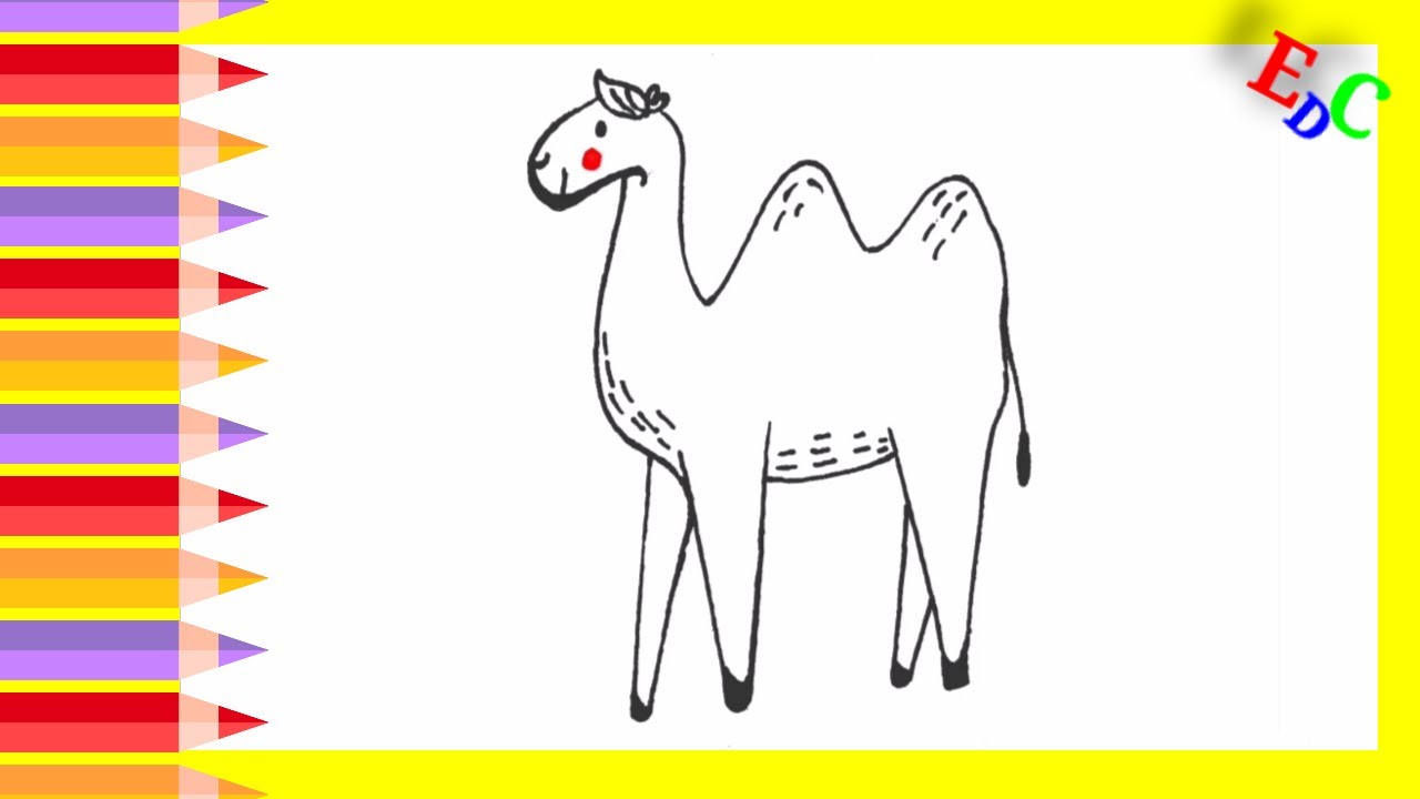 How To Draw Camel Drawing for Kids Step by Step || Drawing Ideas. - YouTube