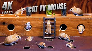 Cat TV Mouse | Secret Mouse City! Endless Hide & Seek Adventure for Cats - 4K Cat TV