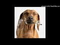 (free) xtsy x rexv2 type beat