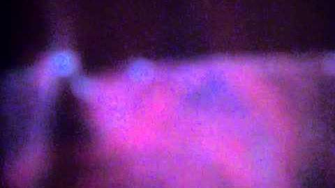 صلاة الشفع والوتر+دعاء ختم القرآن بصوت القارئ سمير سعيداني