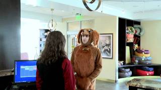 Pets Only At The Olde Towne Pet Resort!