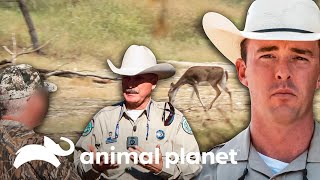 Oficiales investigan la caza de ciervos | Guardianes de Texas | Animal Planet screenshot 2