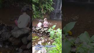 DREAM LAND TNGHS #camping #adventure #nature