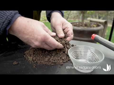 Tester la terre de mon jardin : le pH (1/2) - Truffaut