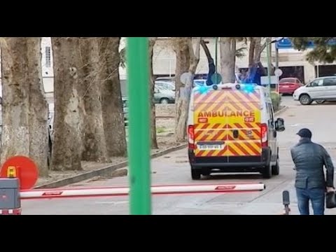 8 გარდაცვლილი და 478 ინფიცირებული - კორონავირუსის სტატისტიკა ბოლო 24 საატში