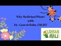Why plant medicinal plants with dr ganesh babu frlht