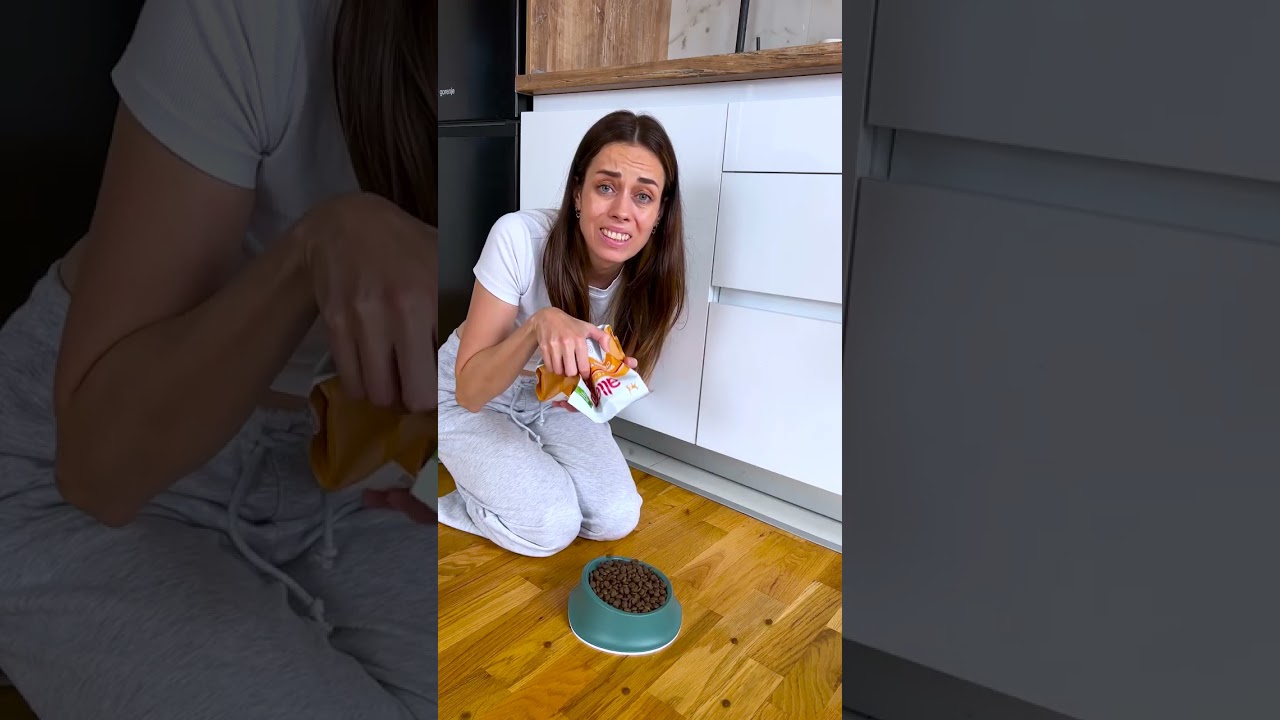 How cats manipulate us! 😼💔😂 