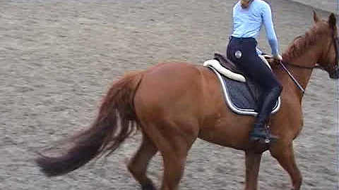 Natalie larkin ( 14) yrs old  and my Bambi, today ...