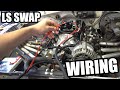 LS Swap Wiring The Holley Terminator X is Installed! So close to first start up... PART 3