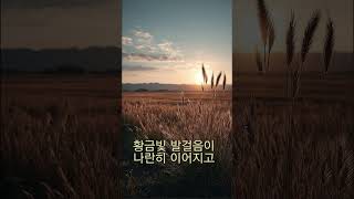 마음에 스미는 빈티지 로맨스💕부드럽고 감미로운 그 시절 멜로디💝1960년대 70년대 사랑 노래 #music #카페음악 #빈티지러브