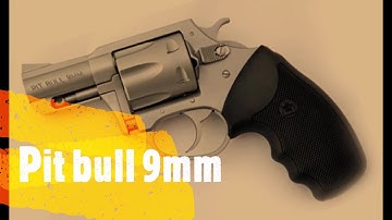 Cover Image for charter arms 9mm