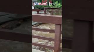 🌧️ FLOOD MESS: Residents Throughout Saddle River, New Jersey, Have Faced Rounds Of Heavy Rain Today