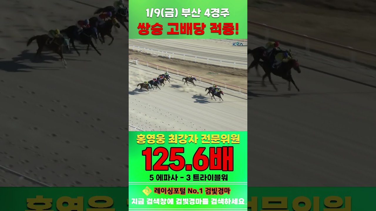[부산 경마] 1월 9일 금요 4경주 홍영웅 최강자 전문위원 쌍승 고배당 적중 #하이라이트 #horse #경마 #automobile #한국마사회 #riding #게임