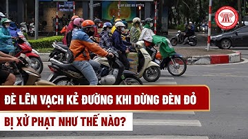Đè lên vạch kẻ đường khi dừng đèn đỏ bị xử phạt như thế nào? | THƯ VIỆN PHÁP LUẬT