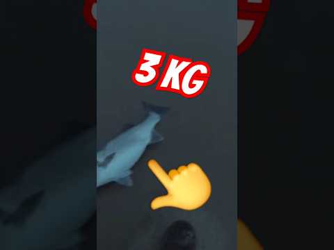 SORPRESA en el