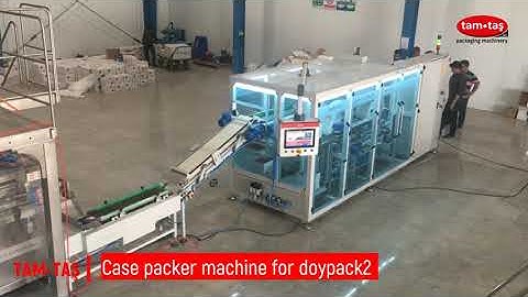 Case Packer Machine for Doypack-2