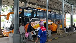 Informasi Lengkap Bus Di Terminal Dumai  Info Harga Tiket Dan Jadwal Keberangkatan Bus Di Dumai