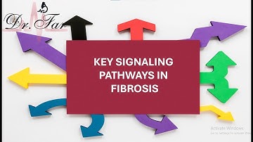 4-Key Signaling Pathways in Fibrosis