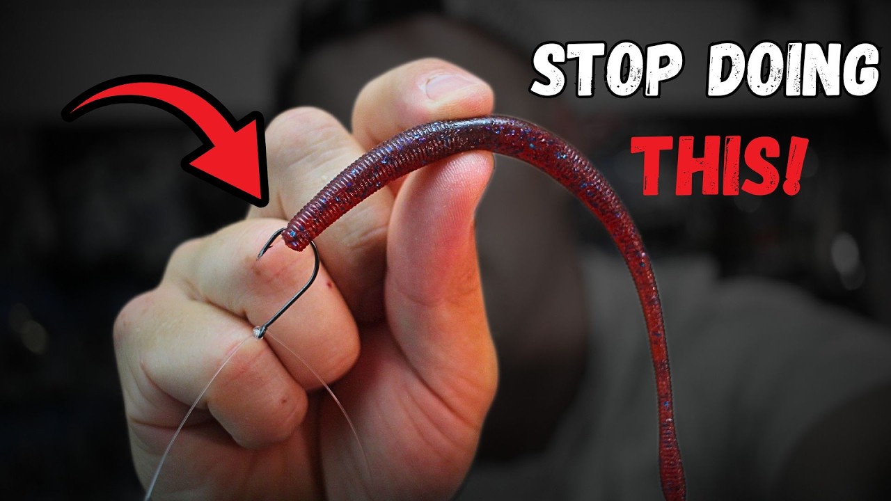 I Wish I Knew THIS About Fishing A Drop Shot in the SUMMER!