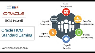 Oracle HCM Standard Earning | Oracle HCM Night Shift Allowance | Oracle HCM Payroll | BISP HCM