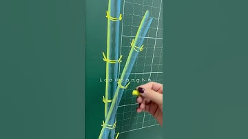 Trang trí bảng cây tre 👩‍🎨 #luyenchudep #tientieuhoc #ve3d