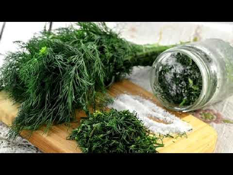 ყველაფერი კამის შესახებ