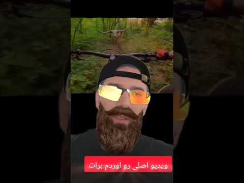 ببین چه اتفاقی براش افتاد ادامشو برات پیدا کردم ادامش کو Shorts Bicycle