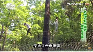 【台中】東勢林場遊樂區中部最美森林花園食尚玩家20160510