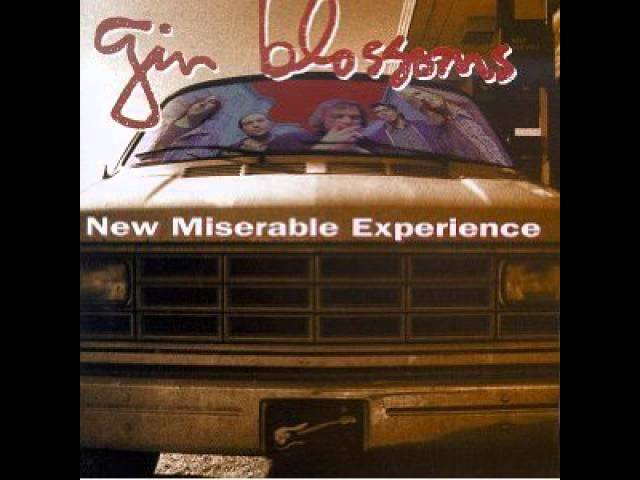 Gin Blossoms - 29