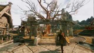 Skyrim - Texture Pack Combiner - Example 2