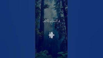 فسبحان الله حين تمسون و حين تصبحون | (سورة الروم - Surat Al-Room) | عبد الرحمن مسعد