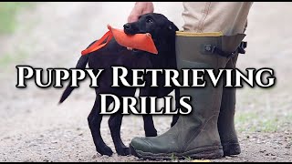 Puppy Retrieving Drills
