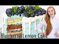 Amazing Blueberry Lemon Cake with Chocolate & Vanilla Cake Layers!