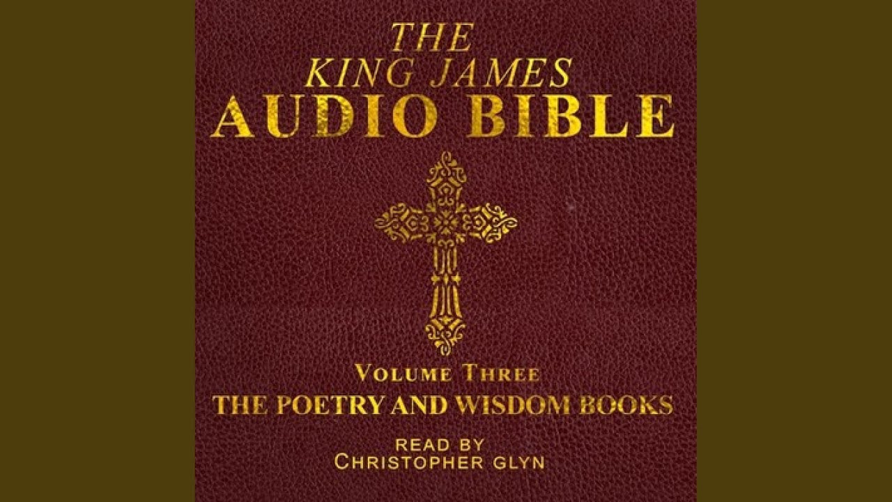 Chapter 193 The King James Audio Bible Volume Three the Poetry and