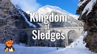 Winter Wonderland : An Unforgettable Sledge Ride from Preda to Bergün