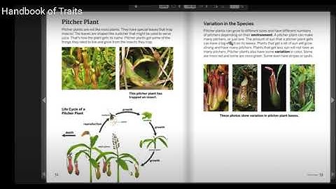 Pitcher Plant: Handbook of Traits