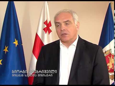 გიორგი მღებრიშვილი ავსტრიის ელჩს შეხვდა