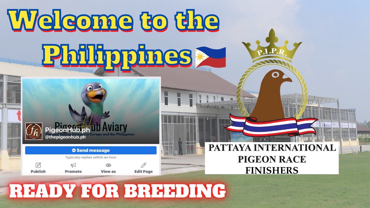 Welcome to the Philippines Pattaya International Pigeon Race Finishers