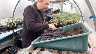 Allotment Update 29/4/24 Frost tender sowing's and more