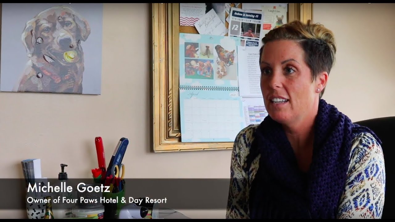 Customer Review By The Four Paws Hotel Day Resort Youtube