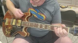 National/Noble EG 680-2RG HollowBody Electric Guitar paired with a Noble Tube Amp