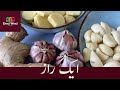 Homemade Ginger Garlic Paste ( Urdu/Hindi)- #DesiWesiKitchen