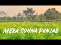 Mera sohna punjab  green land of punjab  drone covering of green fields  mera des punjab